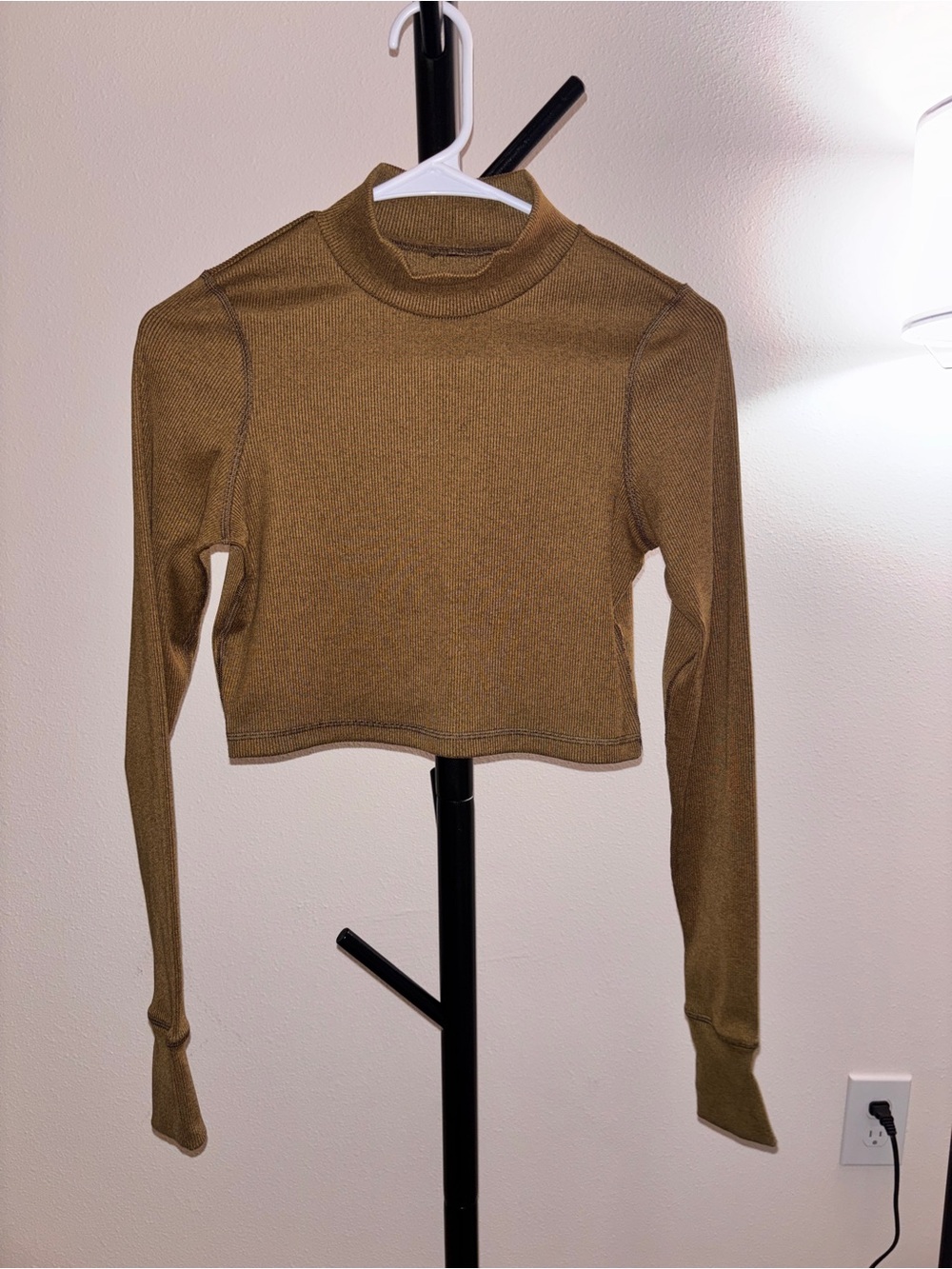 aerie Olive Mock Neck Long Sleeve Crop Top
